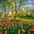 Discover the Free Outdoor Sculpture Gardens of Baltimore, MD