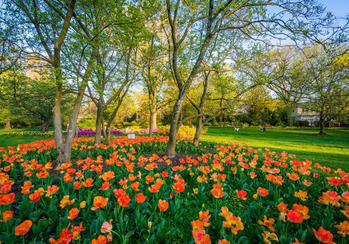Discover the Free Outdoor Sculpture Gardens of Baltimore, MD